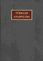 Türkler Anadolu'da