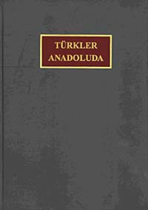 Türkler Anadolu'da