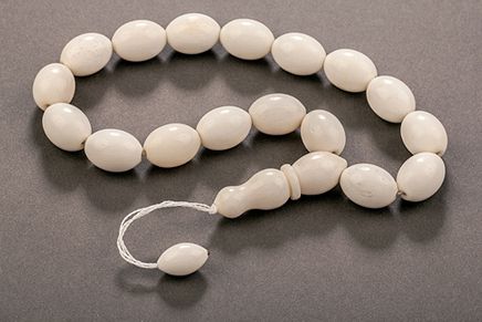 Deve Kemiği - 17 Efe'li (DEK10)