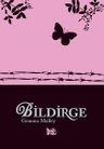 Bildirge