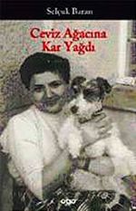 Ceviz Ağacına Kar Yağdı / Bütün Öyküleri