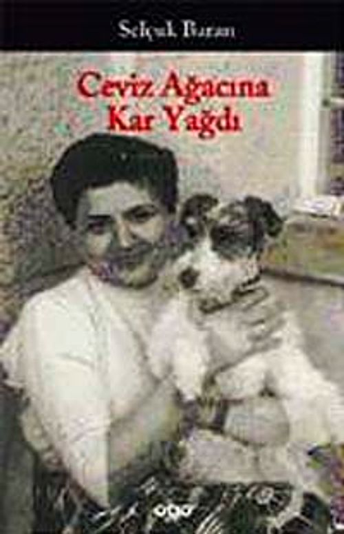 Ceviz Ağacına Kar Yağdı / Bütün Öyküleri
