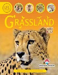 Grassland