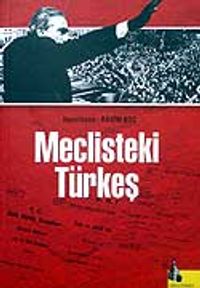 Meclisteki Türkeş