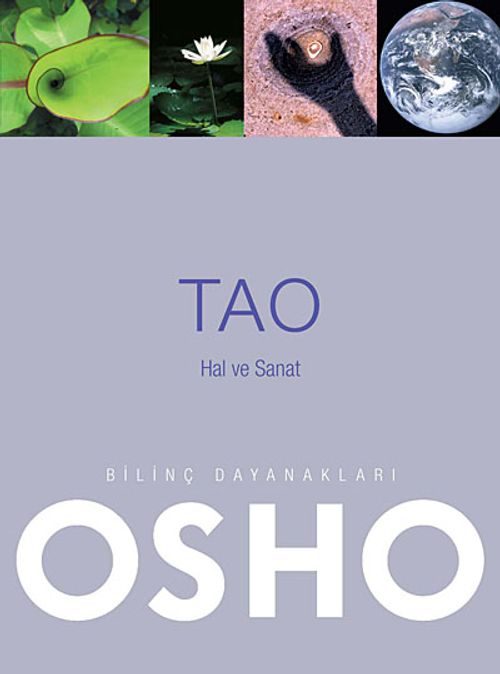 Tao & Hal ve Sanat