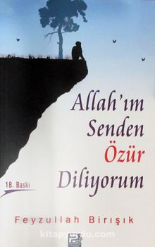 Allah'ım Senden Özür Diliyorum - Feyzullah Birışık