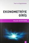 Ekonometriye Giriş