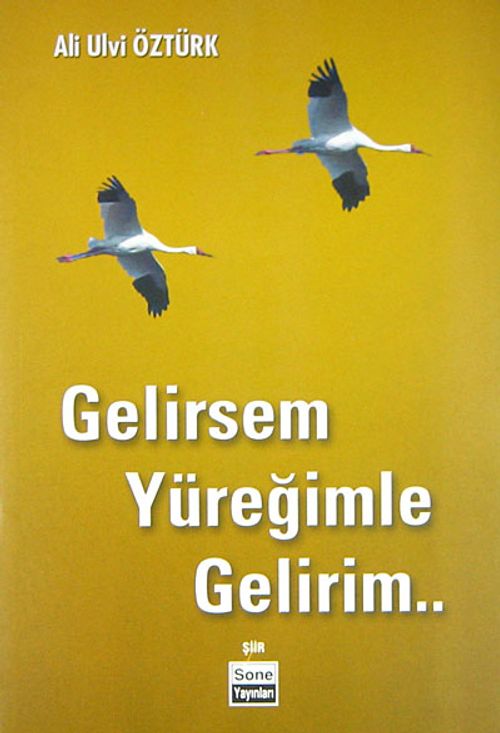 Gelirsem Yüreğimle Gelirim