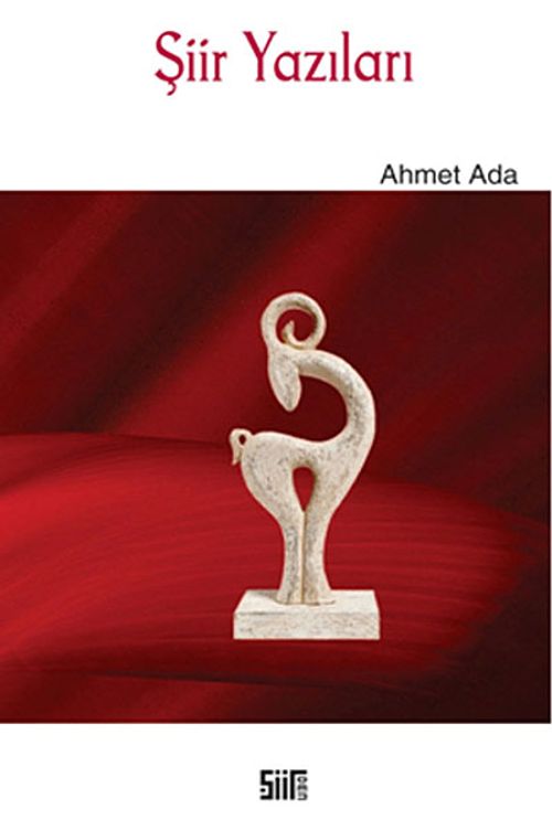 Şiir Yazıları