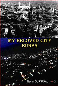 My Beloved City Bursa