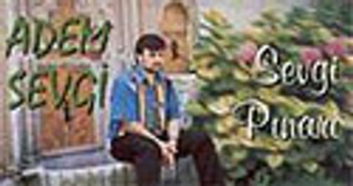 Sevgi Pınarı (Kaset)