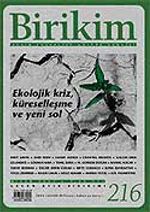 Birikim / Sayı: 216 Yıl: 2007 / Aylık Sosyalist Kültür Dergisi