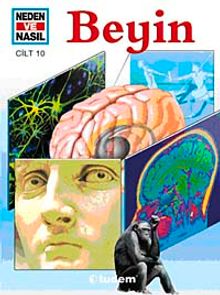Beyin / Neden ve Nasıl-10