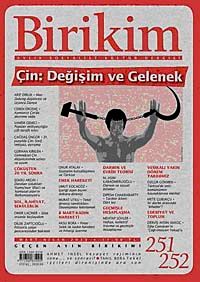 Birikim / Sayı:251-252  Yıl: 2010 / Aylık Sosyalist Kültür Dergisi