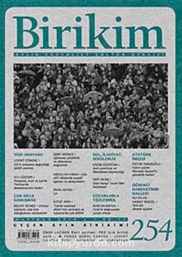 Birikim / Sayı:254  Yıl: 2010 / Aylık Sosyalist Kültür Dergisi