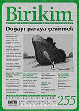 Birikim / Sayı:255 Yıl: 2010 / Aylık Sosyalist Kültür Dergisi