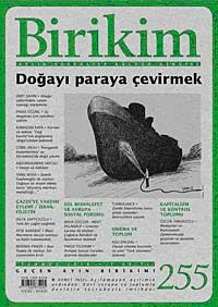 Birikim / Sayı:255 Yıl: 2010 / Aylık Sosyalist Kültür Dergisi