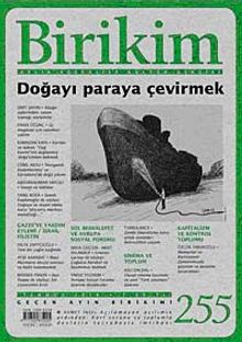 Birikim / Sayı:255 Yıl: 2010 / Aylık Sosyalist Kültür Dergisi