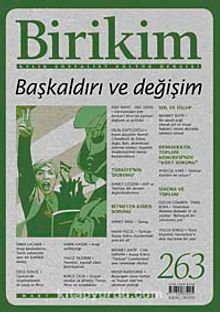 Birikim / Sayı:263  Yıl: 2011 / Aylık Sosyalist Kültür Dergisi