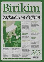 Birikim / Sayı:263  Yıl: 2011 / Aylık Sosyalist Kültür Dergisi