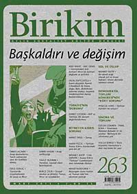 Birikim / Sayı:263  Yıl: 2011 / Aylık Sosyalist Kültür Dergisi