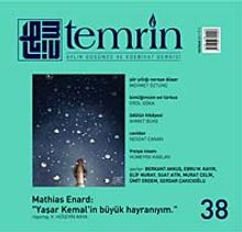 Temrin Aylık Düşünce ve Edebiyat Dergisi Sayı:38 Haziran 2011 (Sonsuzla Sek Sek İsimli Kitap Hediye)