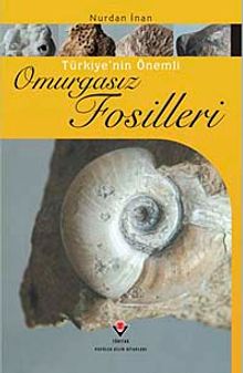 Türkiye'nin Önemli Omurgasız Fosilleri