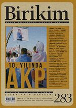 Birikim / Sayı:283 Yıl: 2012 / Aylık Sosyalist Kültür Dergisi