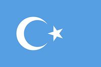 Doğu Türkistan Bayrağı (70x105)