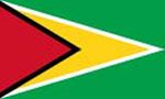 Guyana Bayrağı (20x30)