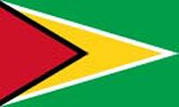 Guyana Bayrağı (20x30)