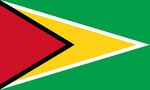 Guyana Bayrağı (70x105)