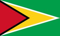 Guyana Bayrağı (70x105)