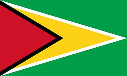 Guyana Bayrağı (70x105)