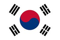 Güney Kore Bayrağı (20x30)