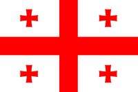 Gürcistan Bayrağı (20x30)