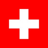 İsviçre Bayrağı (20x30)