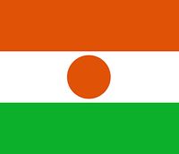 Nijer Bayrağı (20x30)