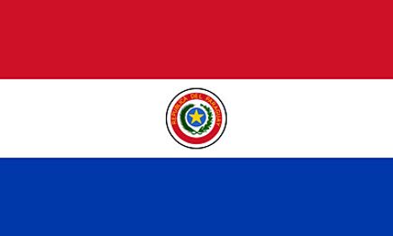 Paraguay Bayrağı (20x30)