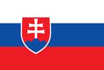 Slovakya Bayrağı (20x30)