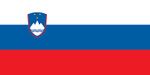 Slovenya Bayrağı (20x30)