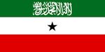 Somaliland Bayrağı (20x30)