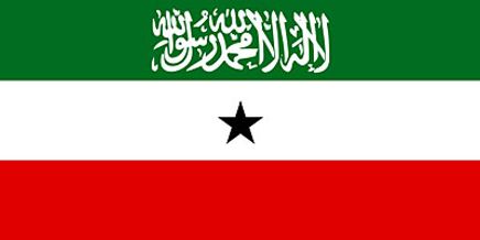 Somaliland Bayrağı (20x30)