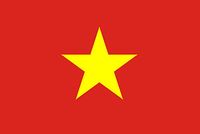 Vietnam Bayrağı (70x105)
