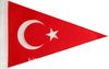 Türkiye Bayrağı (20x30 Üçgen) (25'li Paket)