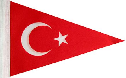 Türkiye Bayrağı (20x30 Üçgen) (25'li Paket)