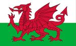 Galler Bayrağı (70x105)