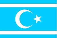Irak Türkmenleri Bayrağı (70x105)
