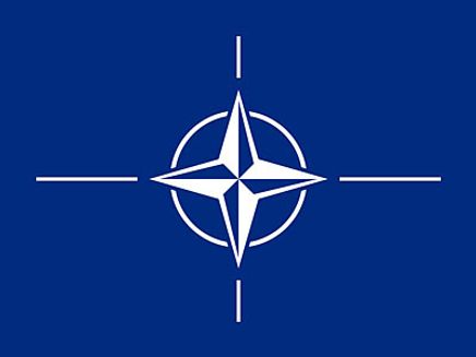 Nato Bayrağı (20x30)