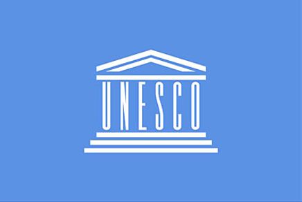 Unesco Bayrağı (20x30)